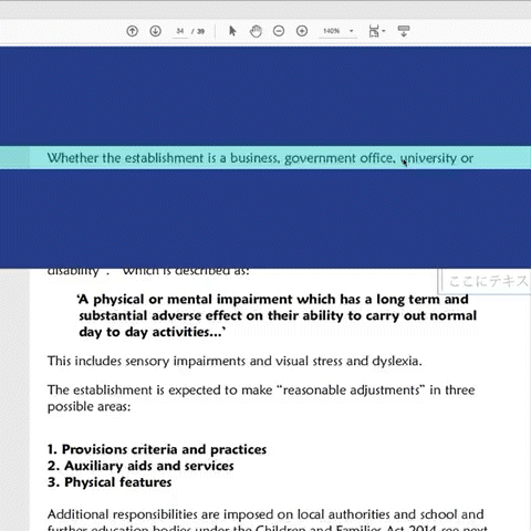Tint and Track 【バーチャルオーバーレイ】